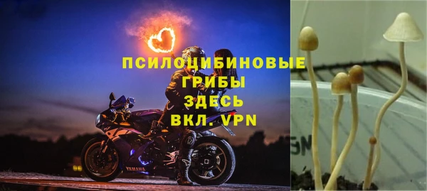 прущая мука Баксан