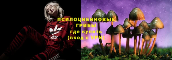 прущая мука Баксан